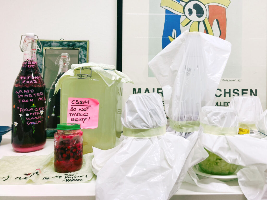 glass jars and bottles with colourful liquids and a post-it with text "cssm don't throw away"