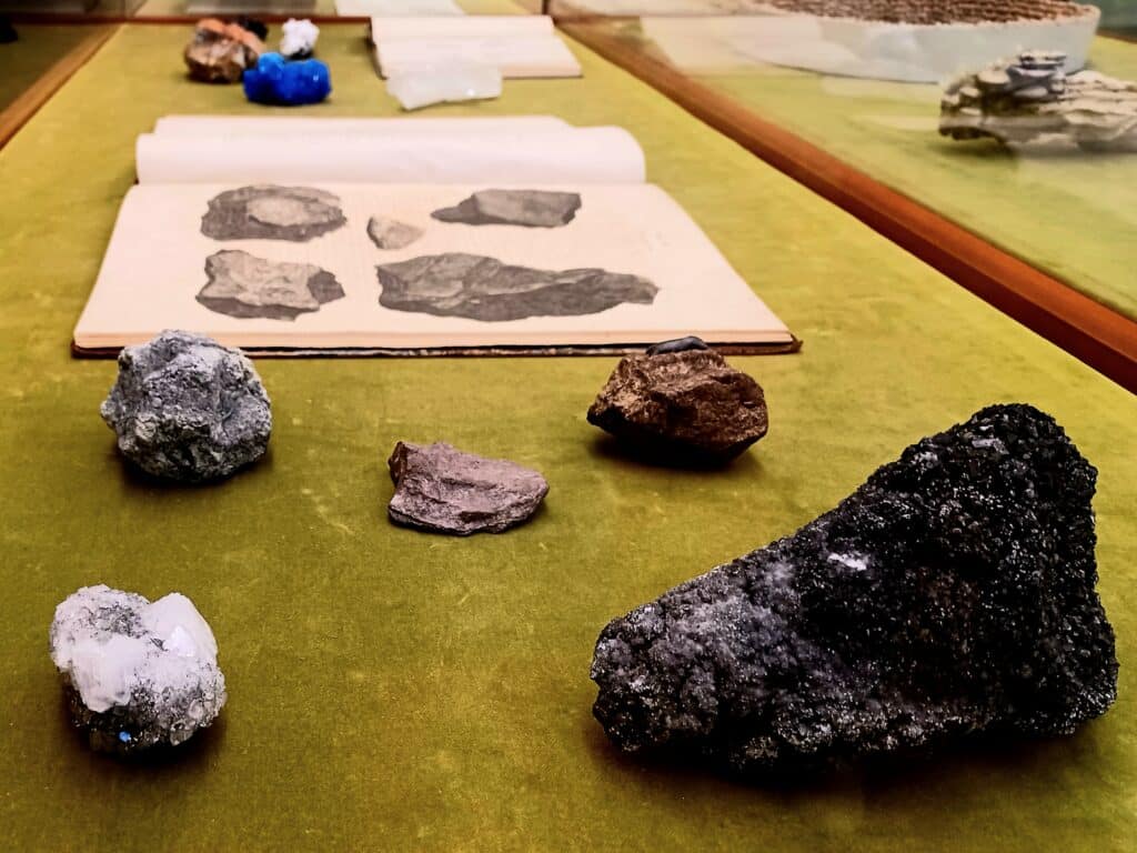 pieces of rock in different colours, resting on an olive-green fabric in an exhibition display
