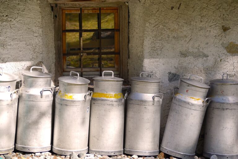 a row of metal milk containers